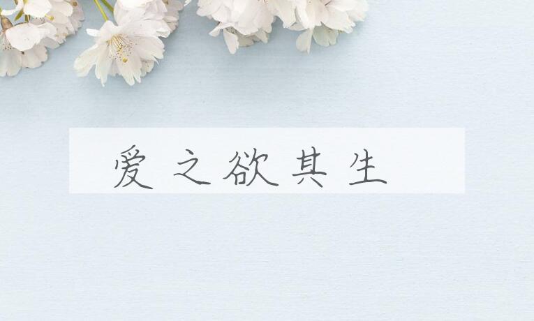 成语爱之欲其生是什么意思？