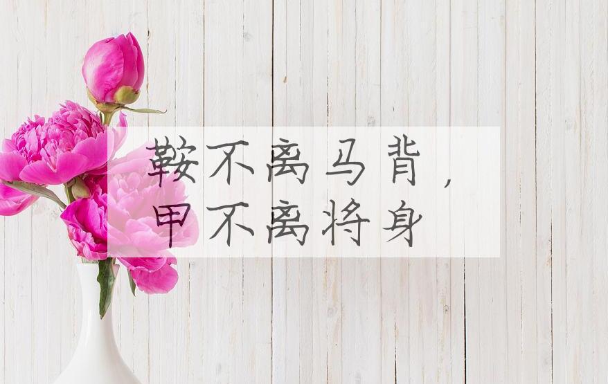 成语鞍不离马背，甲不离将身是什么意思？