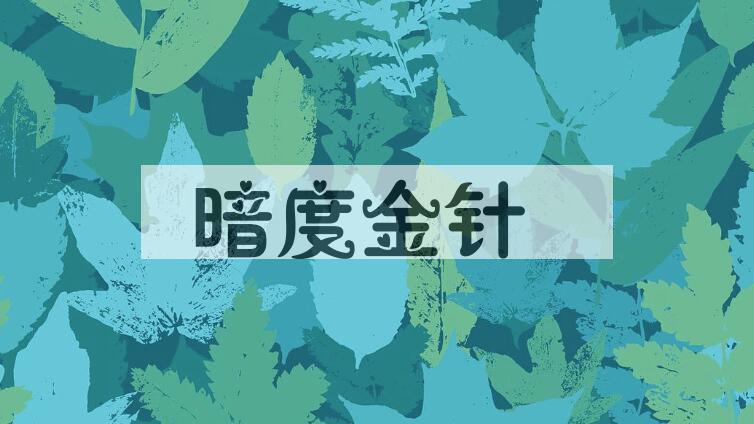 成语暗度金针是什么意思？