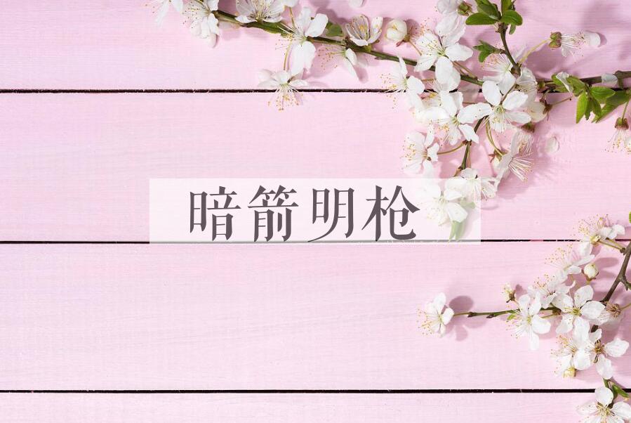 成语暗箭明枪是什么意思？