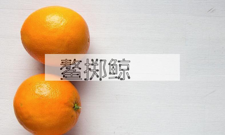 成语鳌掷鲸呿是什么意思？