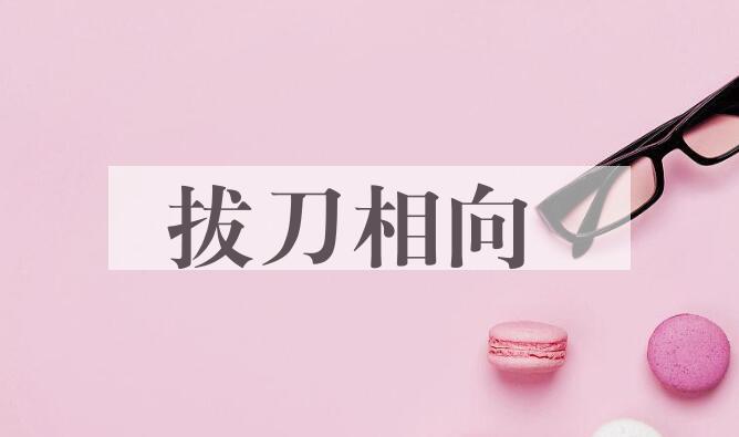 成语拔刀相向是什么意思？