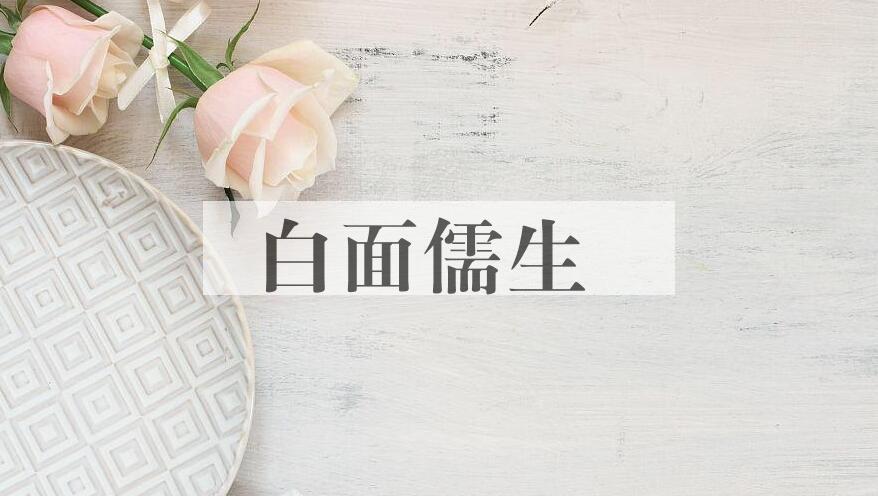 成语白面儒生是什么意思？