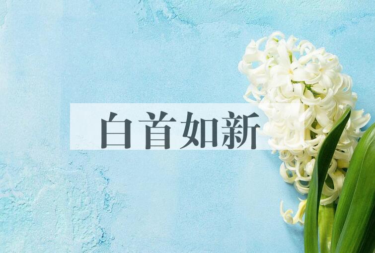 成语白首如新是什么意思？