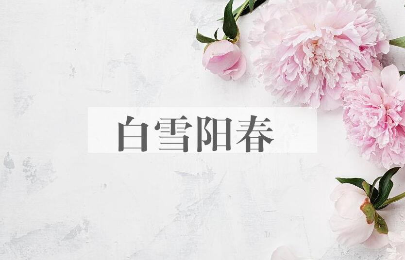 成语白雪阳春是什么意思？