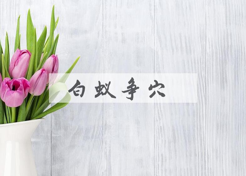 成语白蚁争穴是什么意思？
