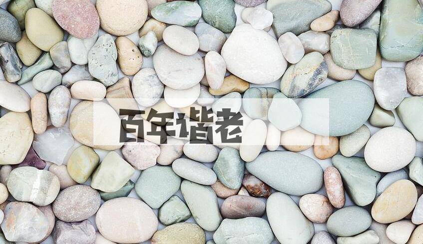 成语百年谐老是什么意思？