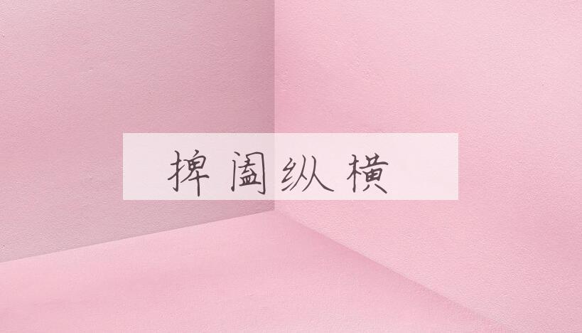 成语捭阖纵横是什么意思？