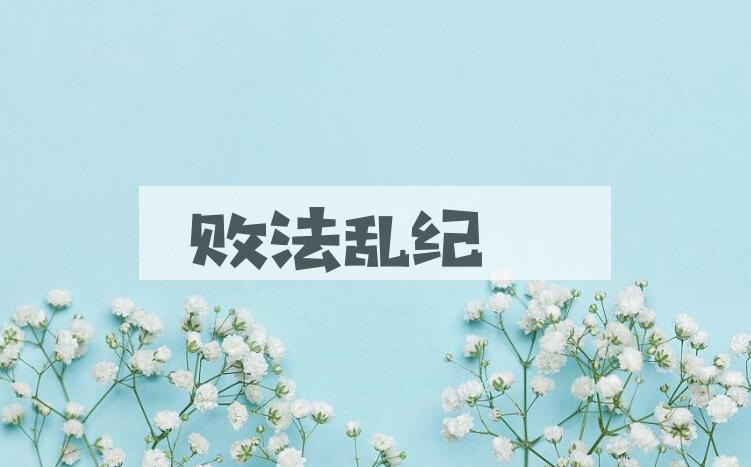 成语败法乱纪是什么意思？