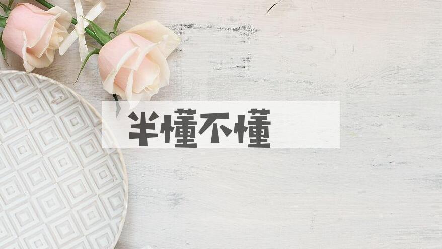 成语半懂不懂是什么意思？