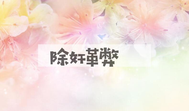 成语除奸革弊是什么意思？