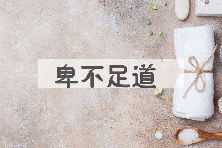 成语卑不足道是什么意思？