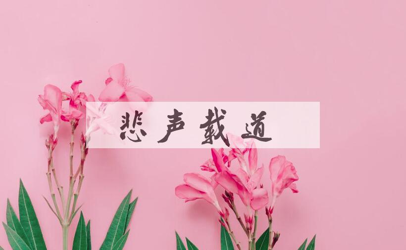 成语悲声载道是什么意思？