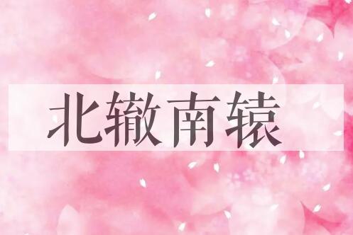成语北辙南辕是什么意思？