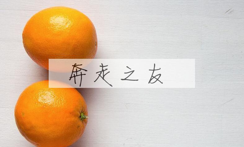 成语奔走之友是什么意思？