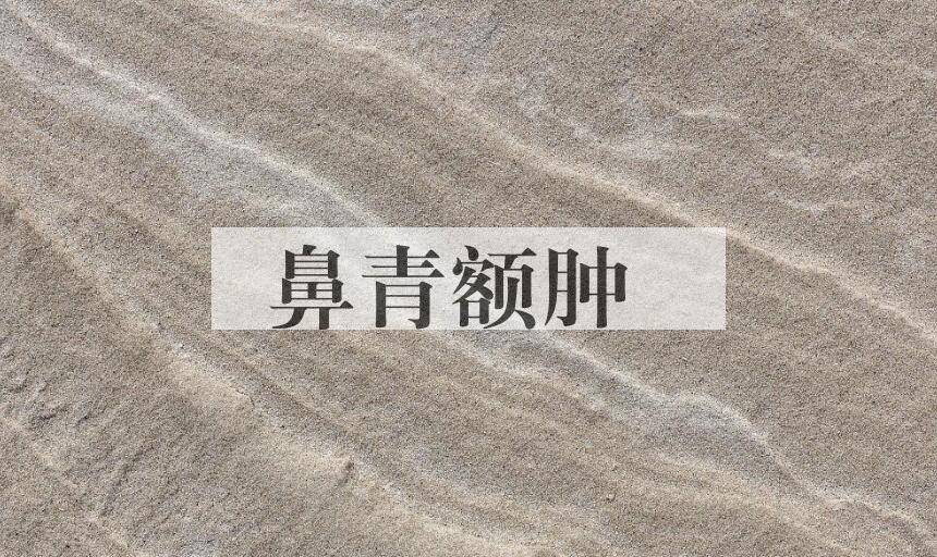 成语鼻青额肿是什么意思？