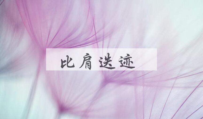 成语比肩迭迹是什么意思？