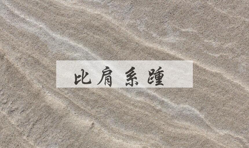 成语比肩系踵是什么意思？