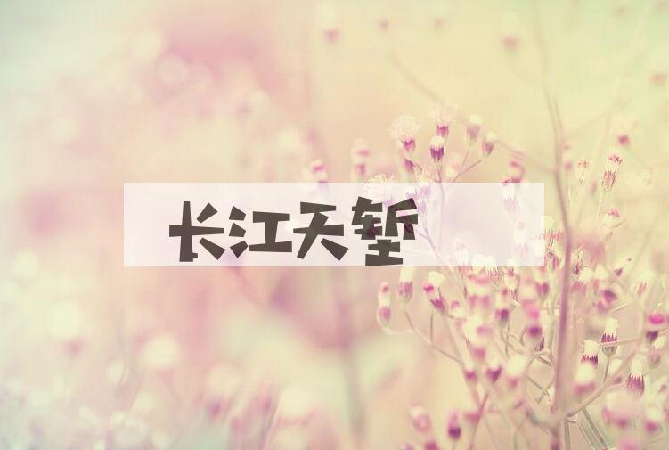 成语长江天堑是什么意思？