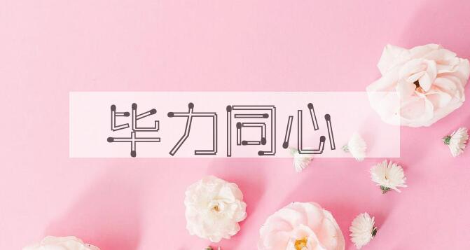 成语毕力同心是什么意思？