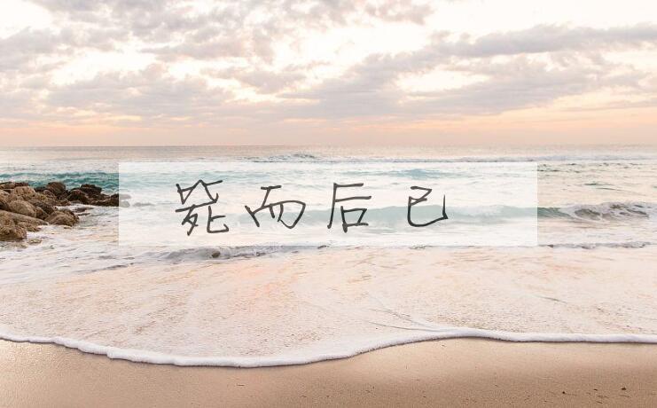 成语毙而后已是什么意思？