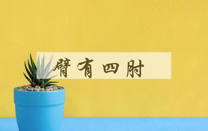 成语臂有四肘是什么意思？