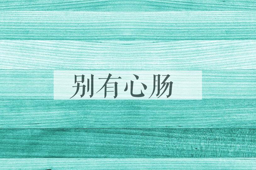 成语别有心肠是什么意思？