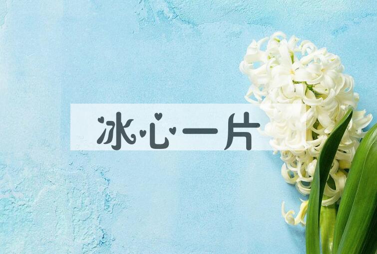 成语冰心一片是什么意思？
