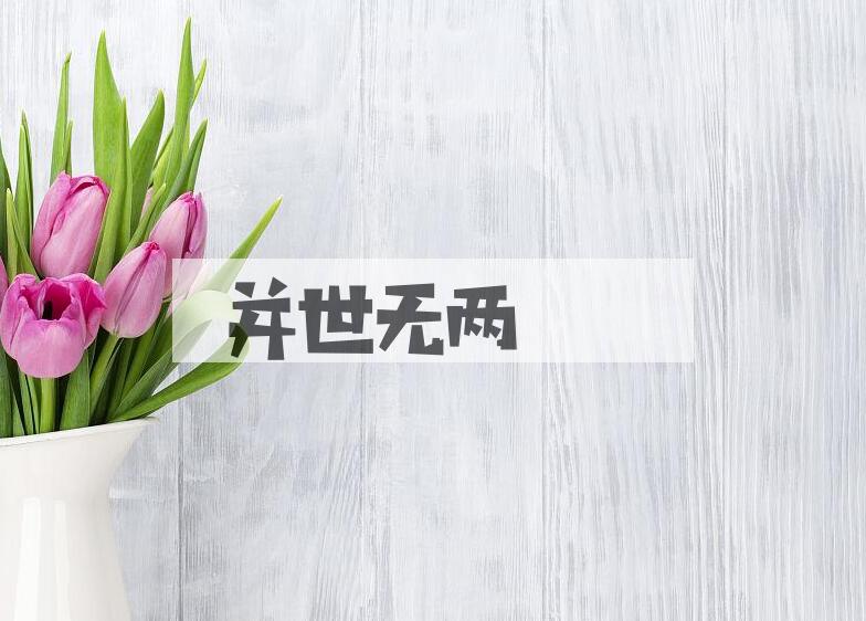 成语并世无两是什么意思？