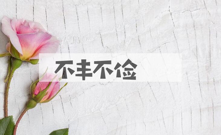 成语不丰不俭是什么意思？