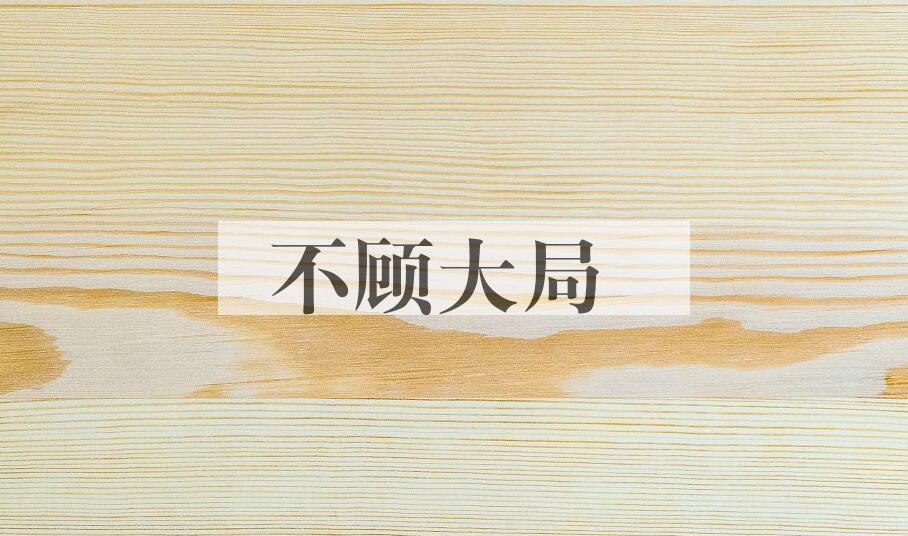 成语不顾大局是什么意思？