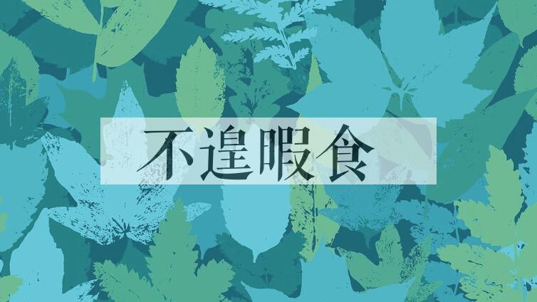 成语不遑暇食是什么意思？