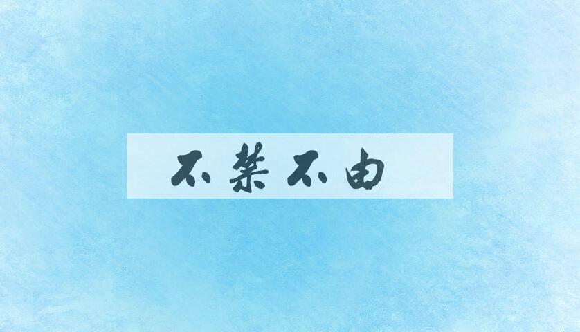 成语不禁不由是什么意思？