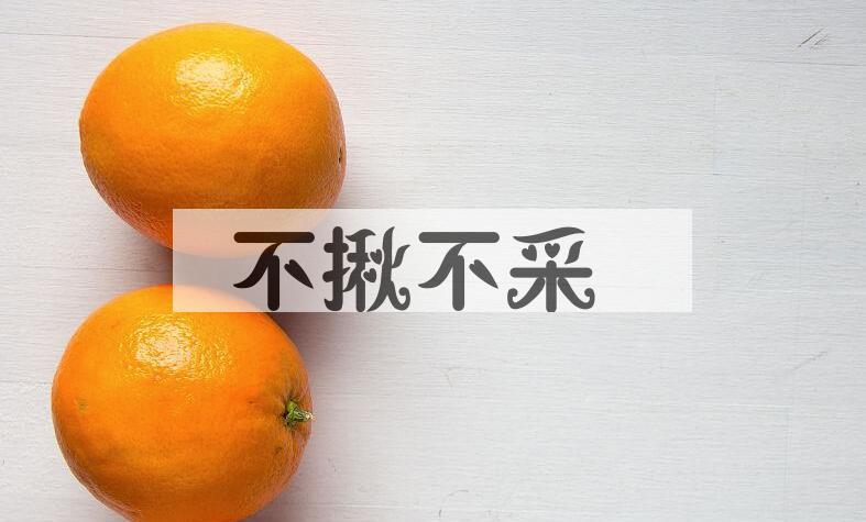 成语不揪不采是什么意思？