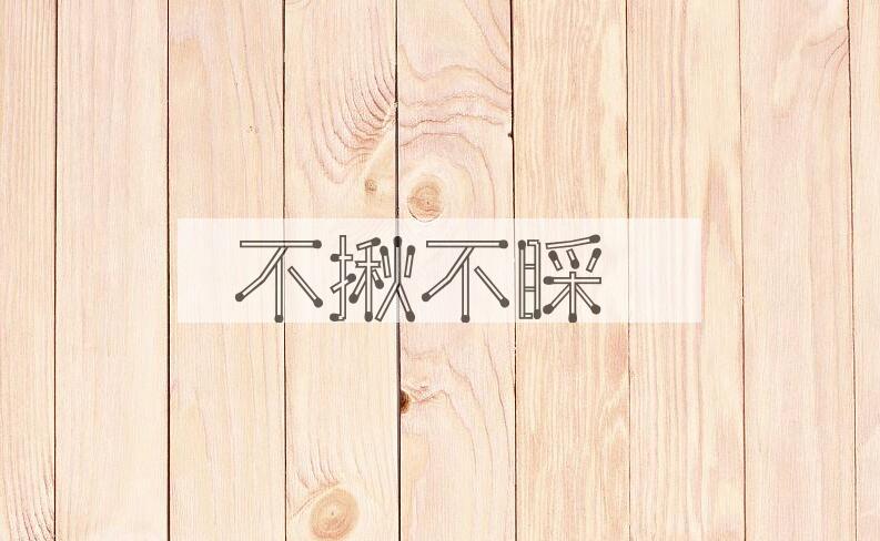 成语不揪不睬是什么意思？