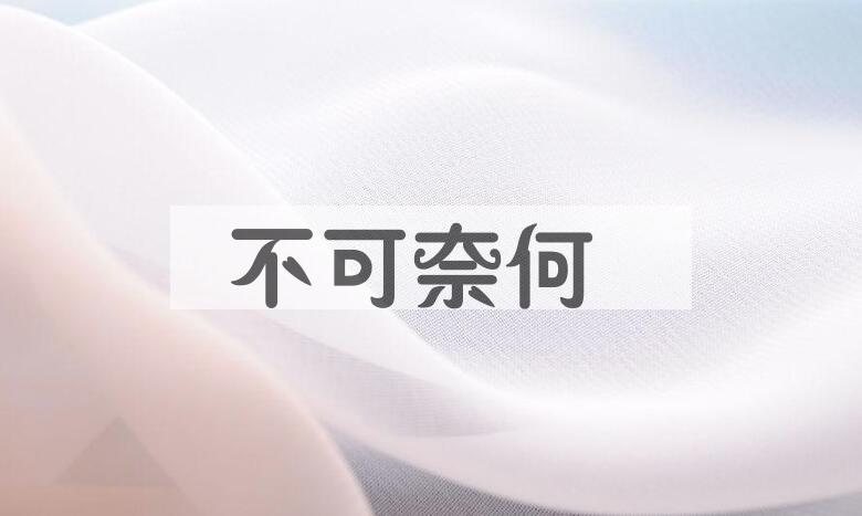 成语不可奈何是什么意思？