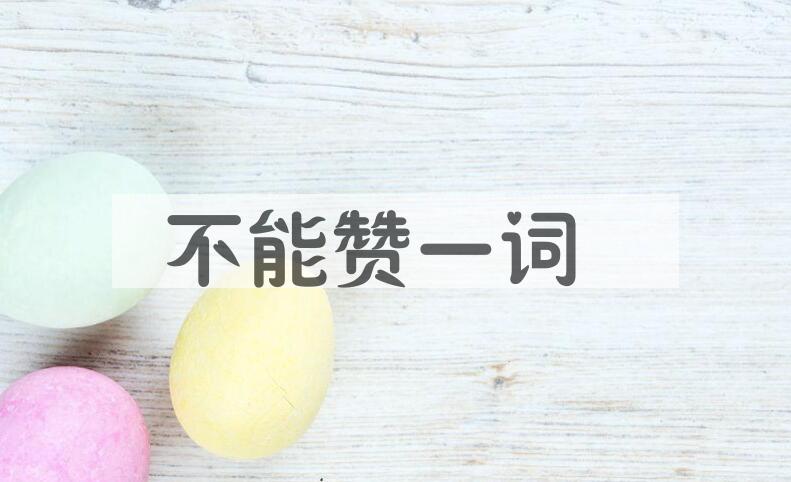 成语不能赞一词是什么意思？