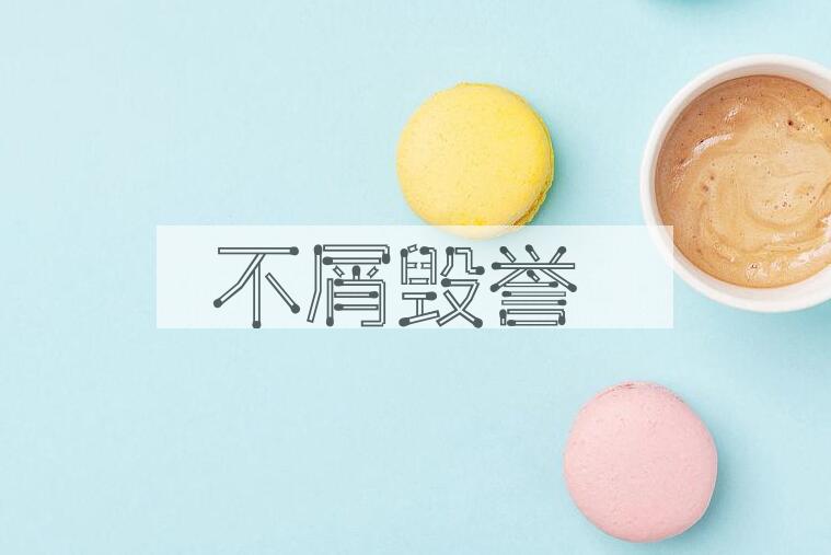 成语不屑毁誉是什么意思？