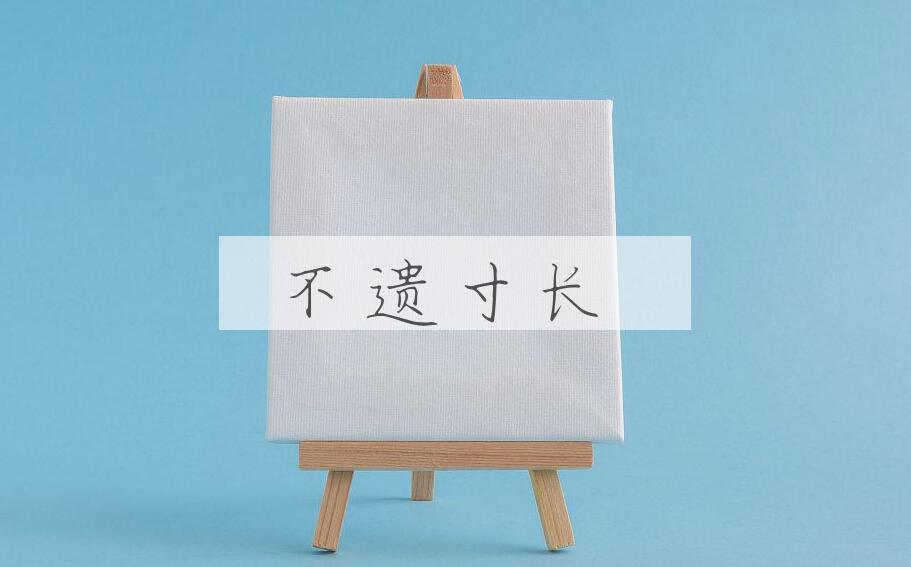 成语不遗寸长是什么意思？
