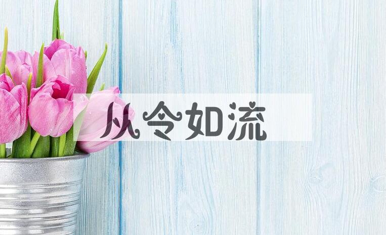 成语从令如流是什么意思？