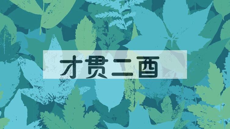 成语才贯二酉是什么意思？