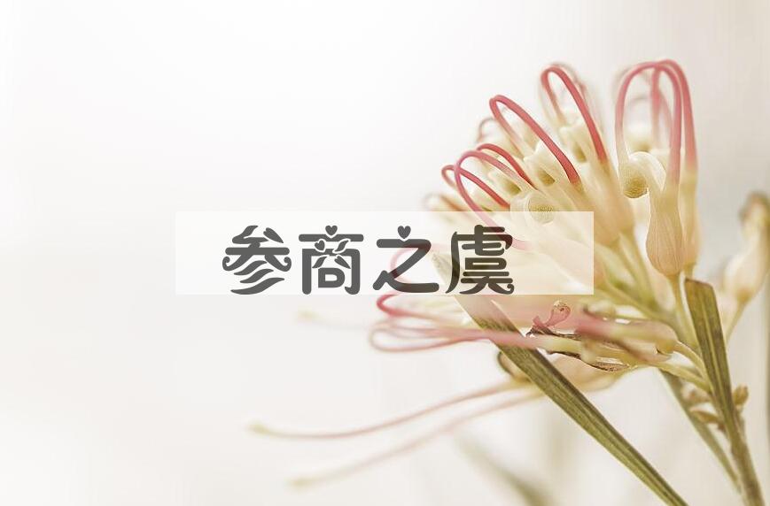 成语参商之虞是什么意思？