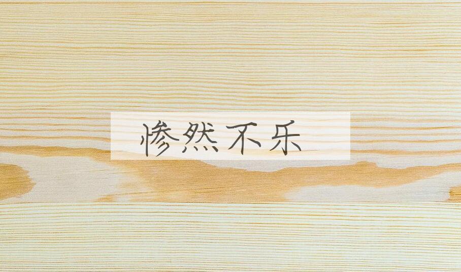 成语惨然不乐是什么意思？