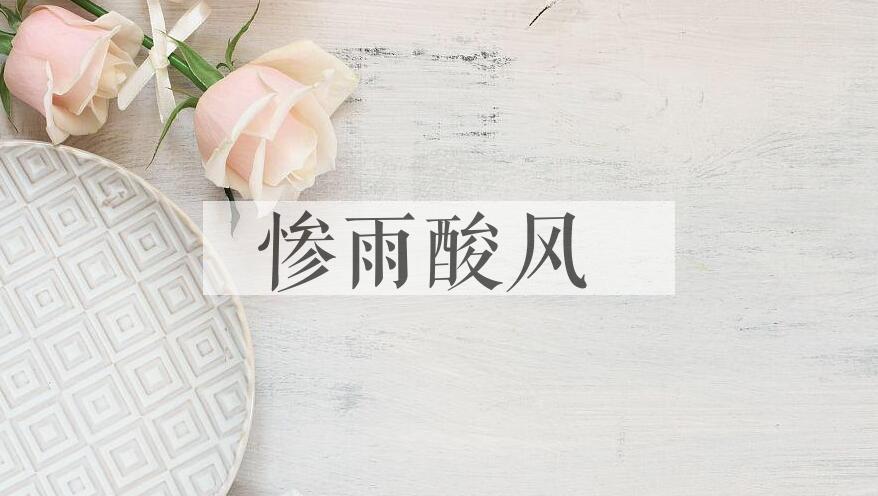 成语惨雨酸风是什么意思？
