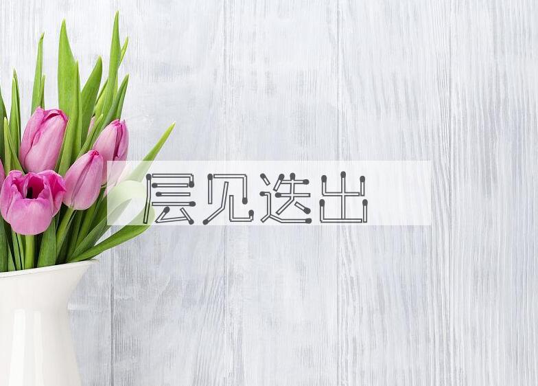 成语层见迭出是什么意思？