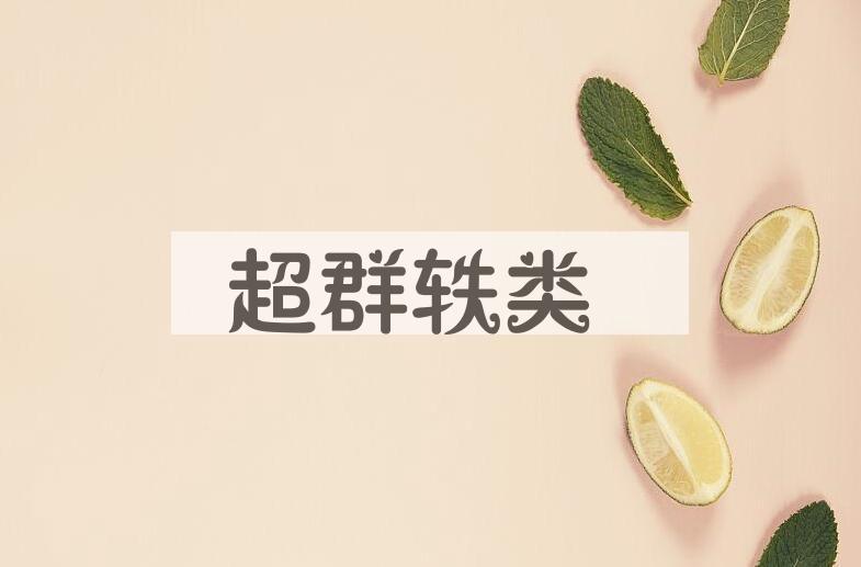 成语超群轶类是什么意思？