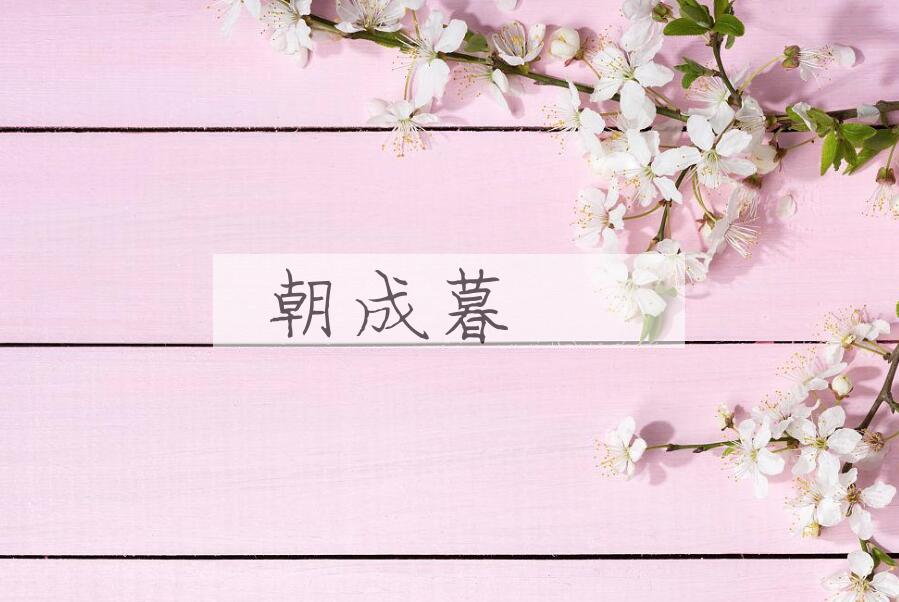 成语朝成暮徧是什么意思？