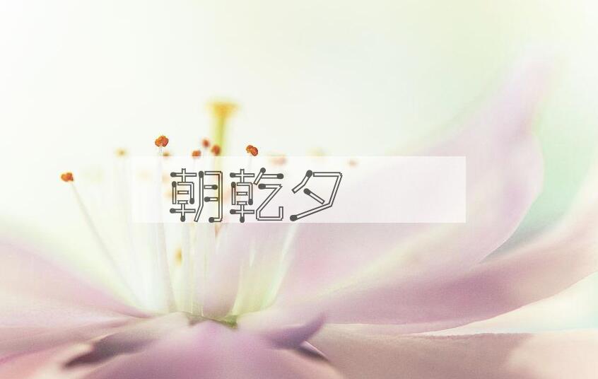 成语朝乾夕愓是什么意思？