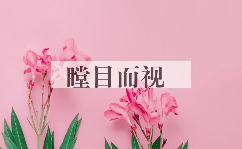 成语瞠目而视是什么意思？