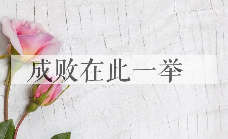 成语成败在此一举是什么意思？